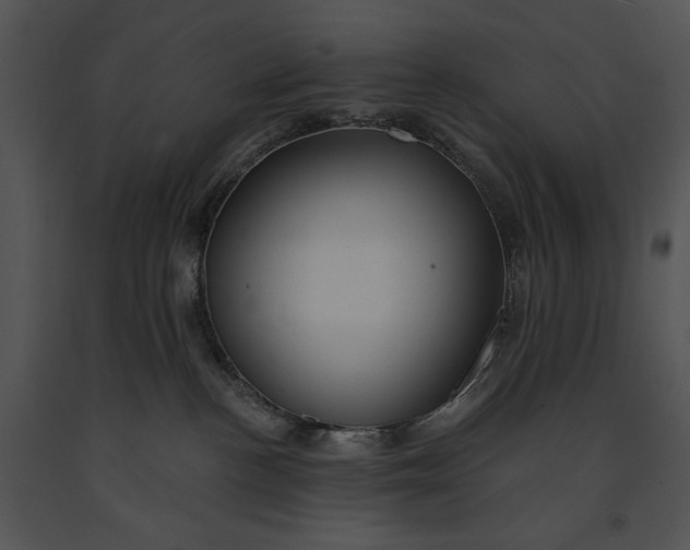 X0000091170188200708301203