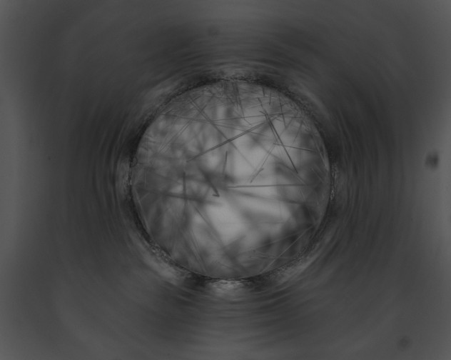 X0000091170189200708301203