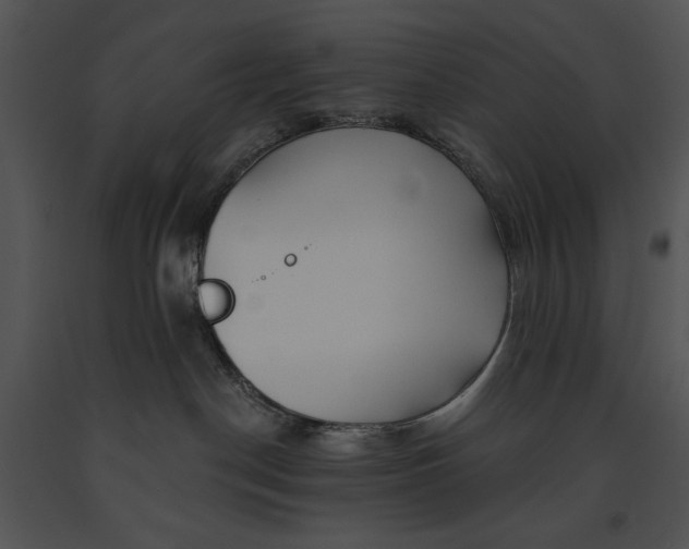 X0000091170190200708301203