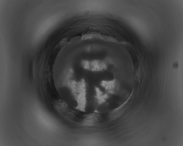 X0000091170191200708301203