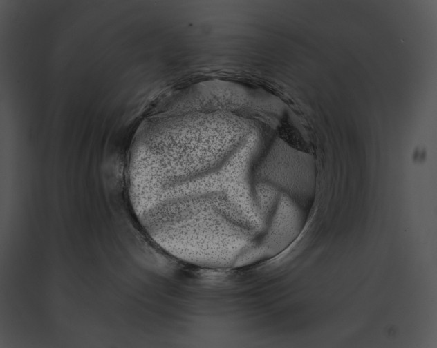 X0000091170192200708301203