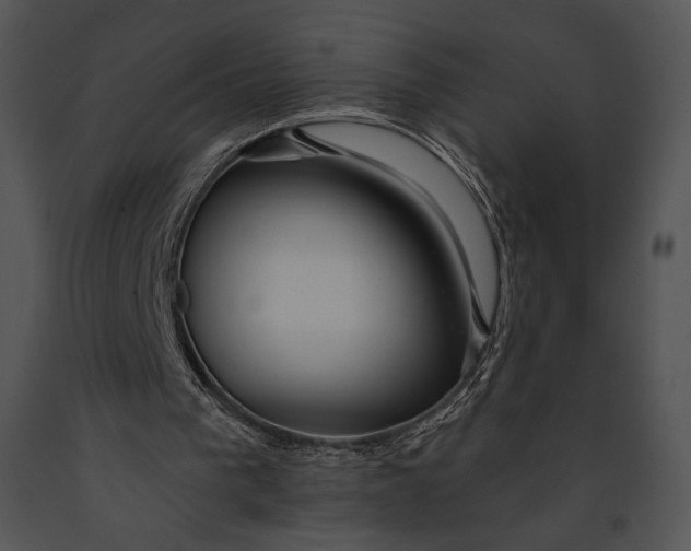 X0000091170193200708301202