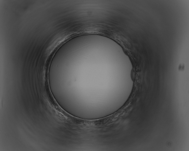 X0000091170194200708301202