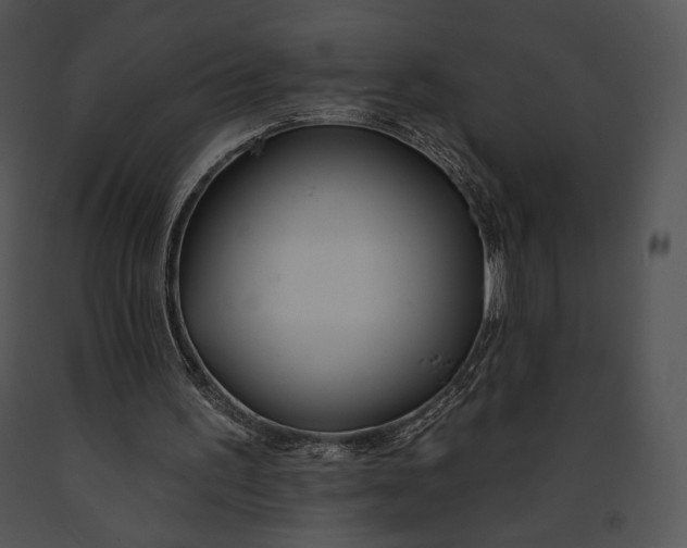 X0000091170195200708301202