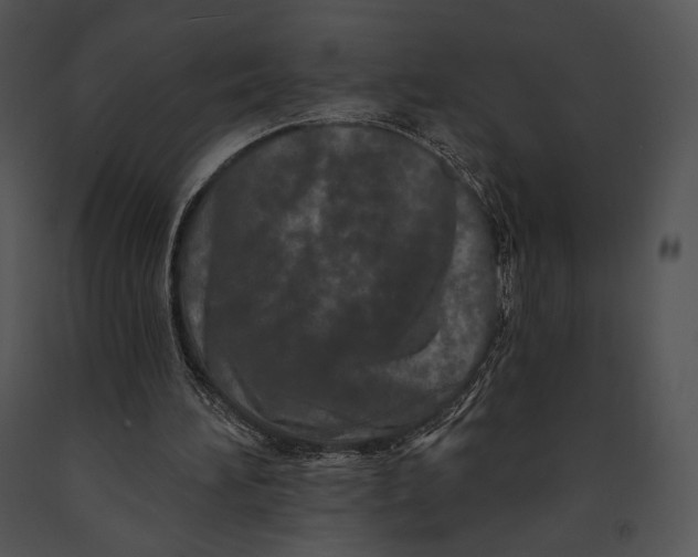 X0000091170196200708301202