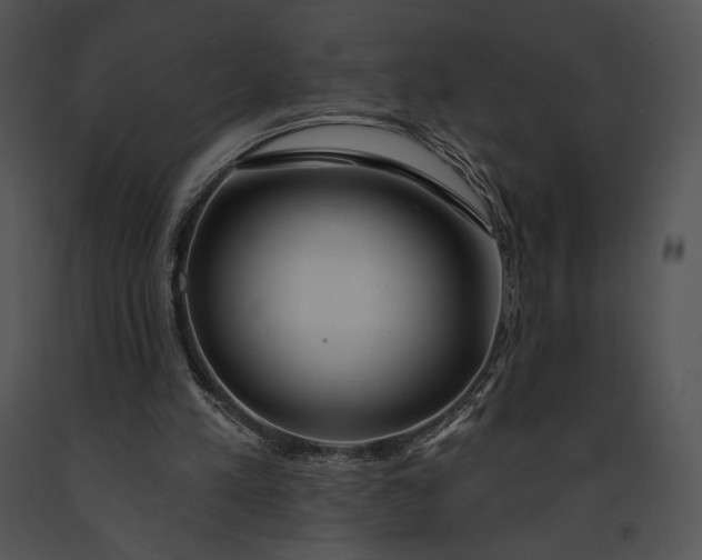 X0000091170197200708301202