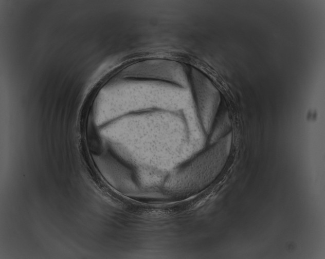 X0000091170198200708301202