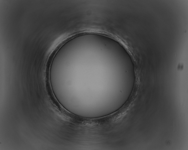 X0000091170199200708301202