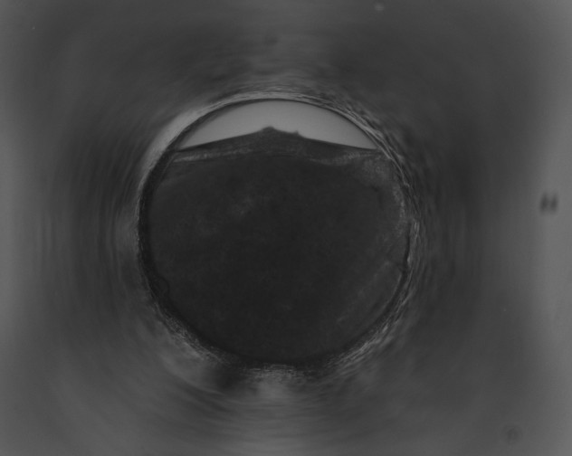 X0000091170200200708301202