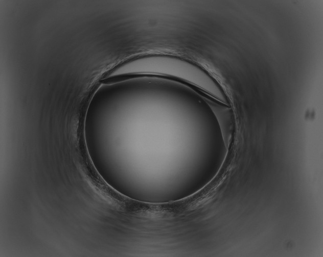 X0000091170201200708301202