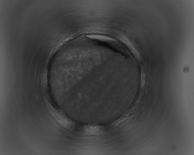 X0000091170202200708301202