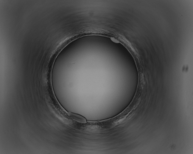 X0000091170203200708301202