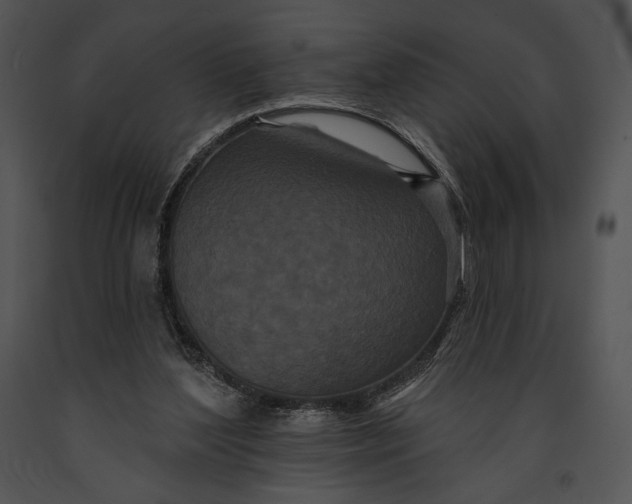 X0000091170204200708301202