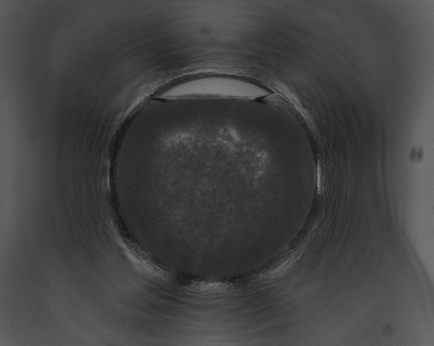 X0000091170205200708301202