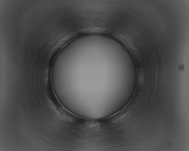 X0000091170206200708301202