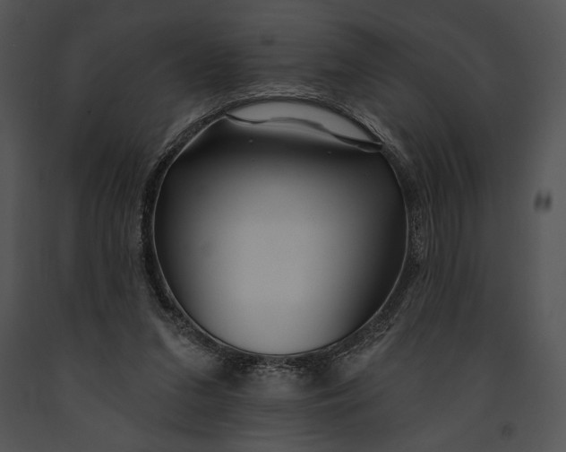 X0000091170207200708301202