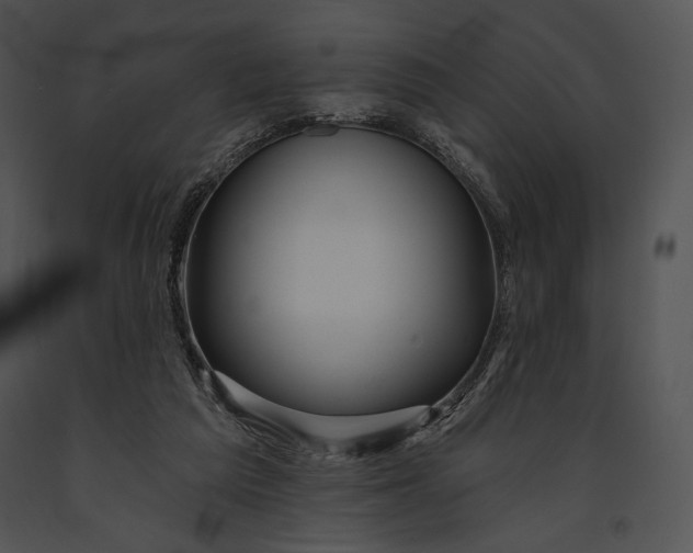 X0000091170209200708301202