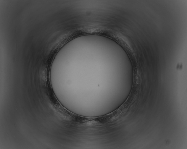 X0000091170210200708301202