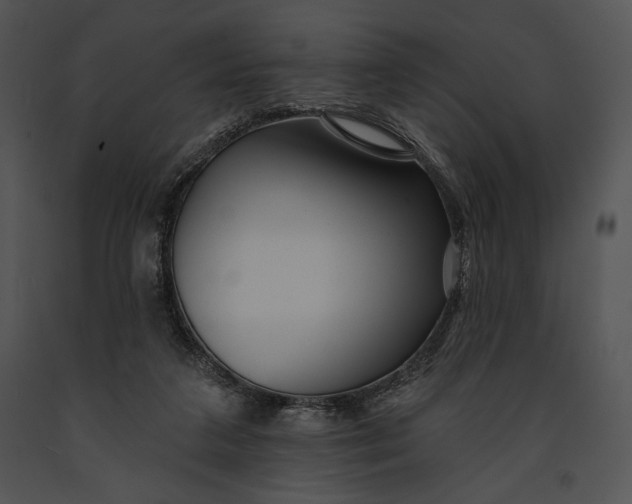 X0000091170211200708301202