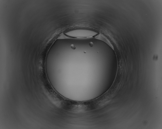 X0000091170212200708301202