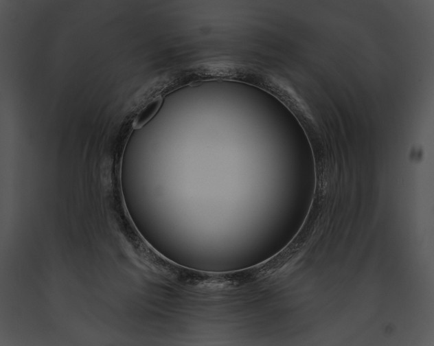 X0000091170213200708301202