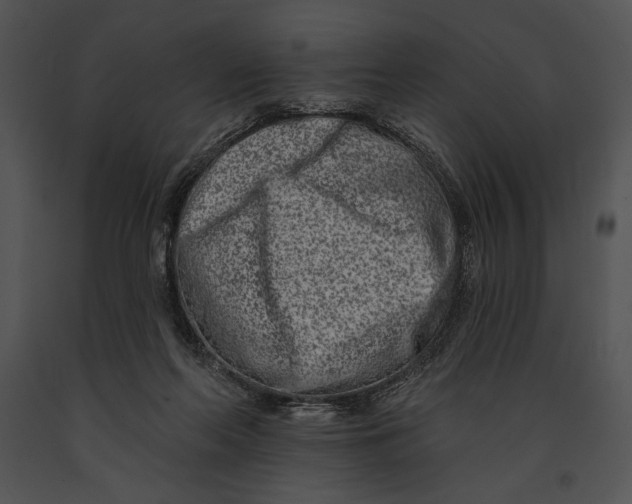 X0000091170214200708301202