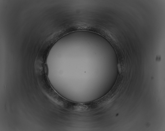 X0000091170215200708301202