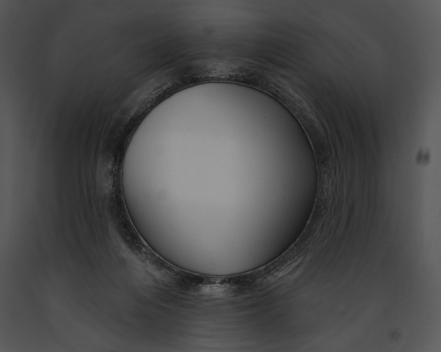 X0000091170216200708301202