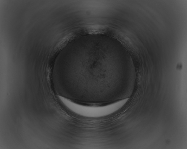 X0000091170219200708301202