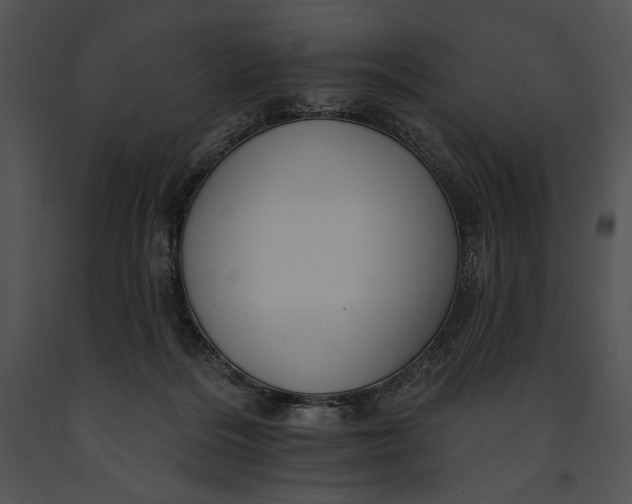 X0000091170220200708301202