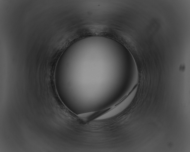 X0000091170221200708301202