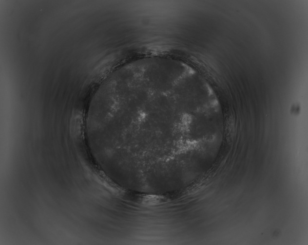 X0000091170222200708301202