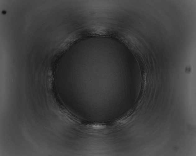 X0000091170223200708301202