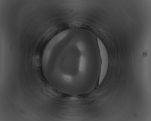 X0000091170224200708301202