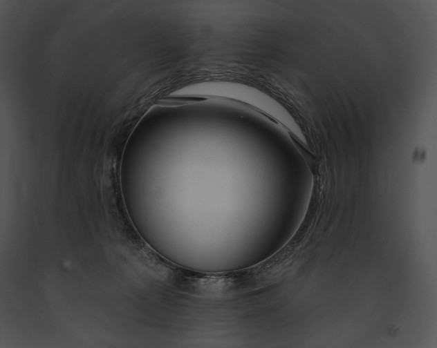 X0000091170225200708301202