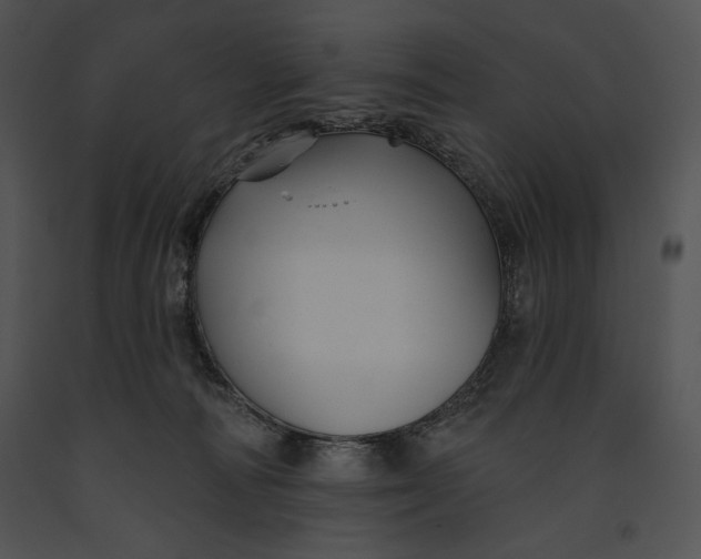 X0000091170226200708301202