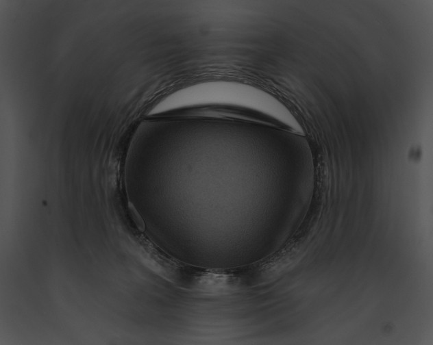 X0000091170227200708301202