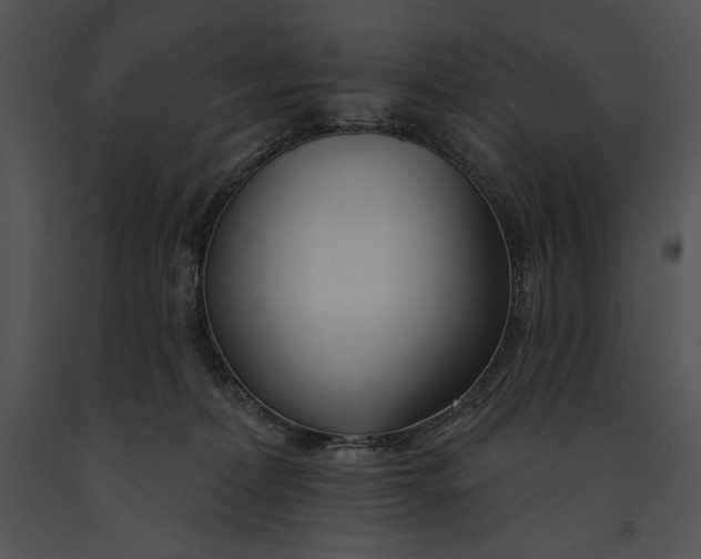 X0000091170228200708301202