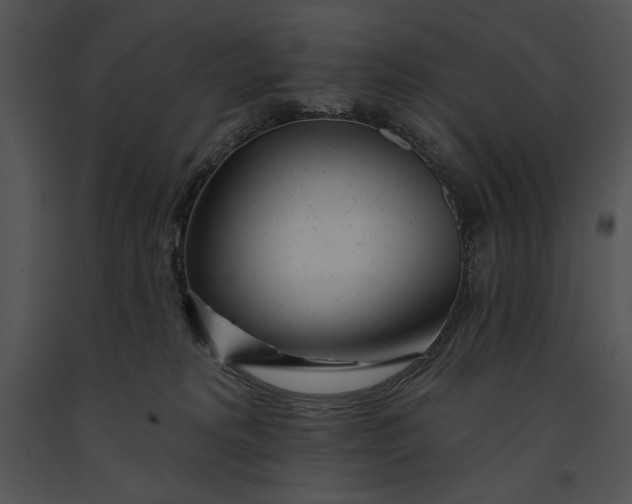 X0000091170229200708301202