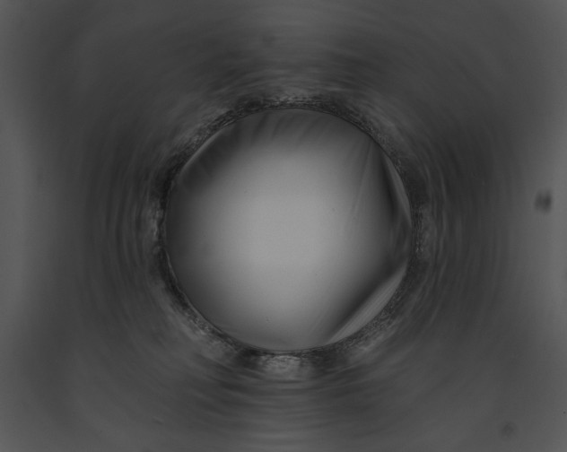 X0000091170230200708301202