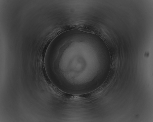 X0000091170231200708301202