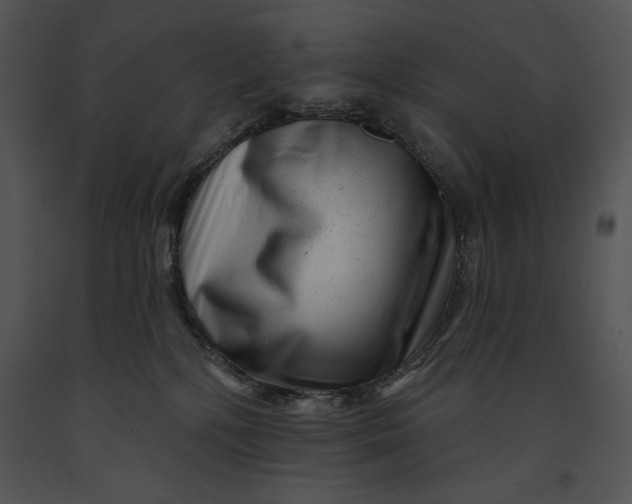 X0000091170232200708301202