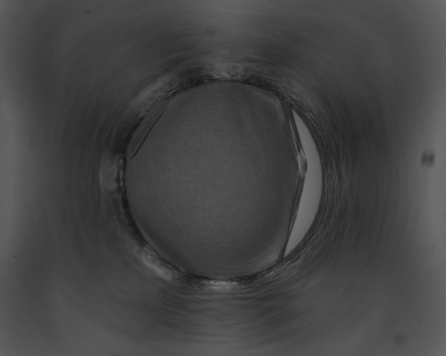 X0000091170233200708301202