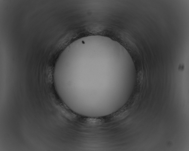 X0000091170234200708301202