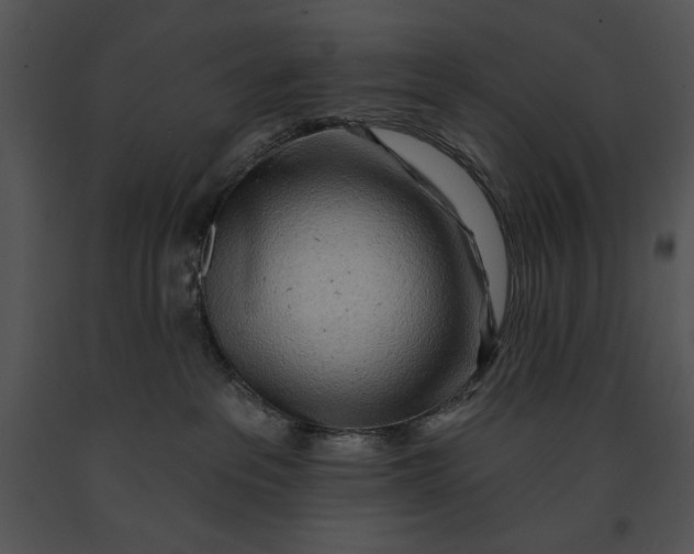 X0000091170237200708301202