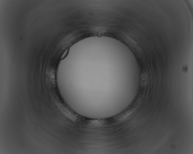 X0000091170238200708301202