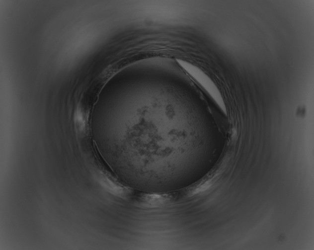 X0000091170239200708301201