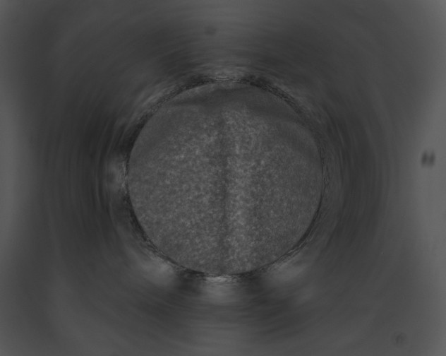 X0000091170240200708301201