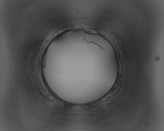 X0000091170241200708301201