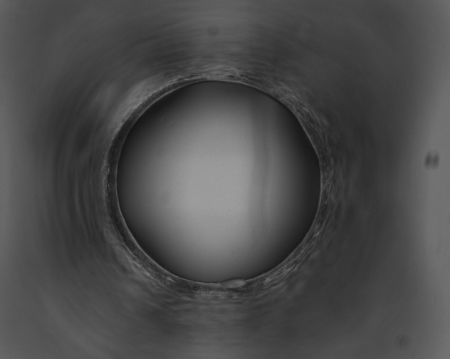 X0000091170242200708301201